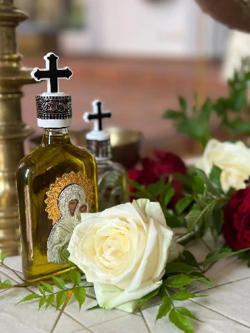 photo_2025-11-12_21-09-34 (2)