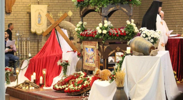 photo_2025-11-12_21-09-34